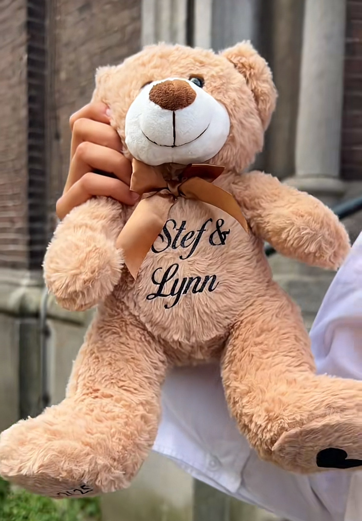 Tresora Teddy